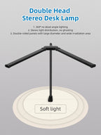 Desk Lamps Double Head LED Stepless Dimmable Led USB Table Lamp for Office Study Reading Lighting Fixture Computer Monitor Light